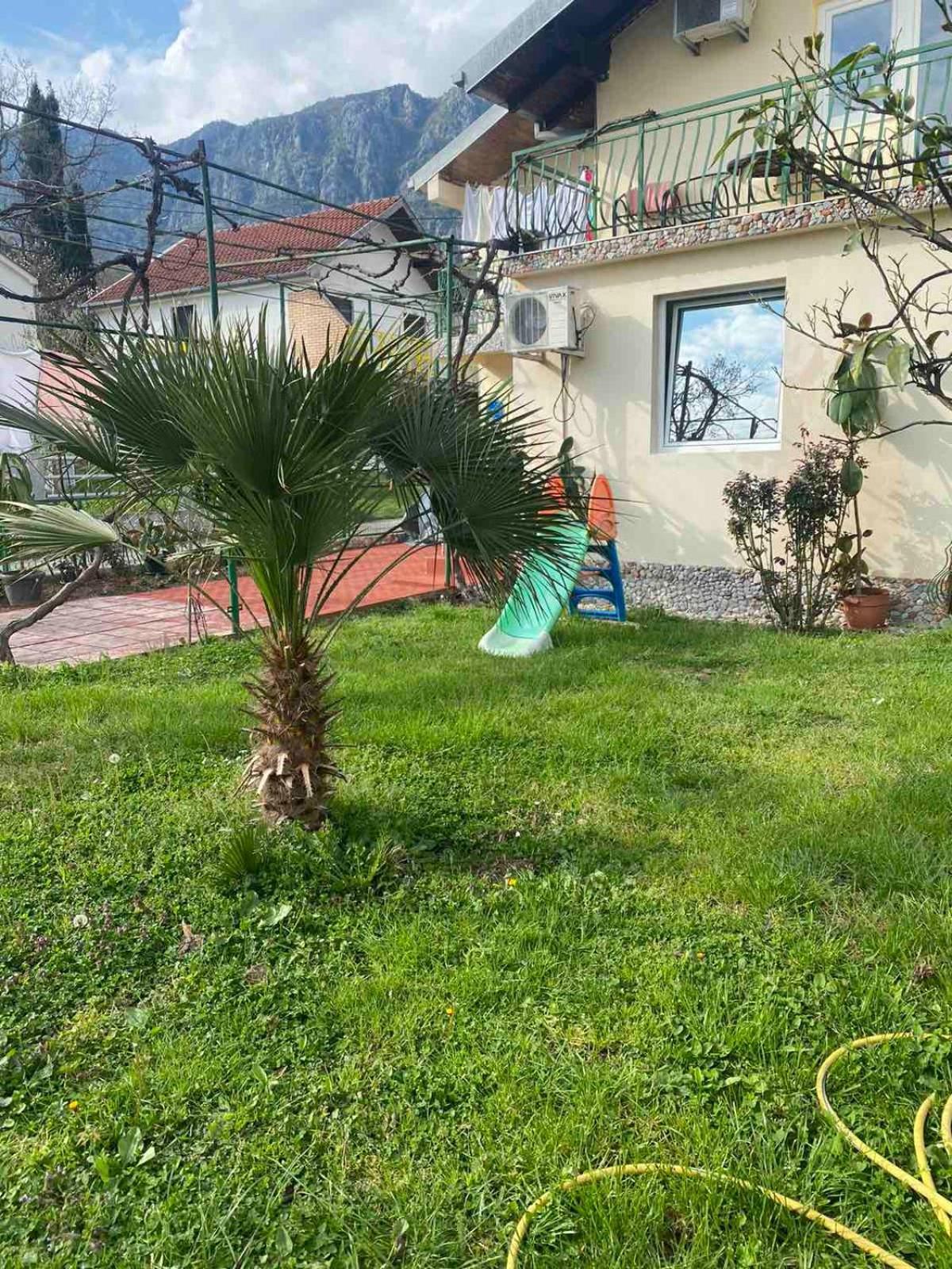 Apartmani Zelenika Herceg Novi Szoba fotó